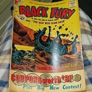 Vintage Black Fury Comic Book Charlton Comic Collection